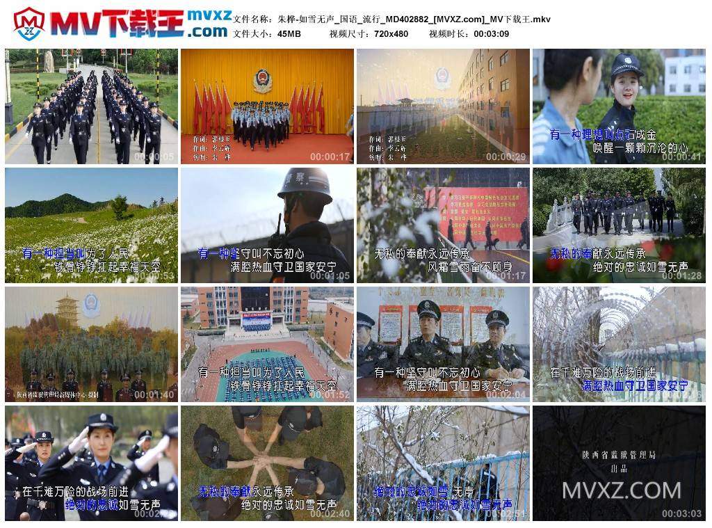 朱桦-如雪无声_国语_流行_MD402882